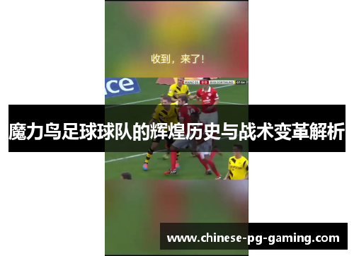 魔力鸟足球球队的辉煌历史与战术变革解析