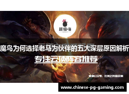 魔鸟为何选择老马为伙伴的五大深层原因解析