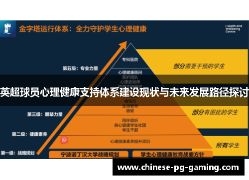 英超球员心理健康支持体系建设现状与未来发展路径探讨