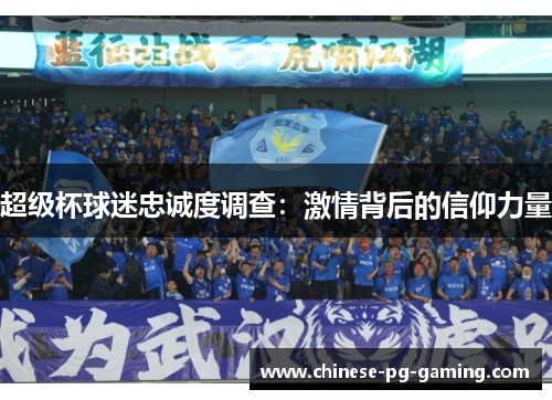 超级杯球迷忠诚度调查：激情背后的信仰力量