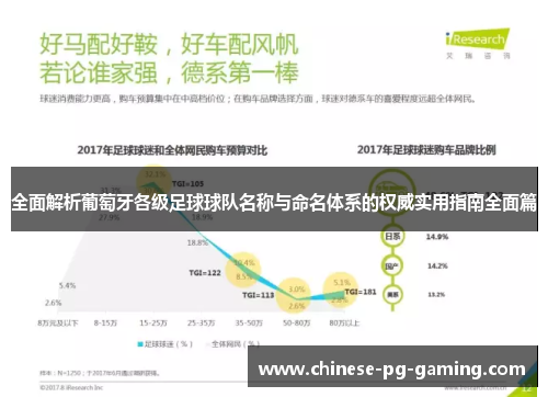 全面解析葡萄牙各级足球球队名称与命名体系的权威实用指南全面篇