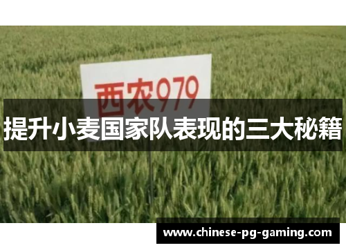 提升小麦国家队表现的三大秘籍